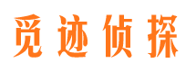 苏仙外遇调查取证